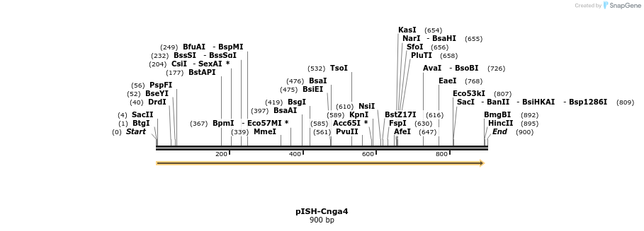 199615_map
