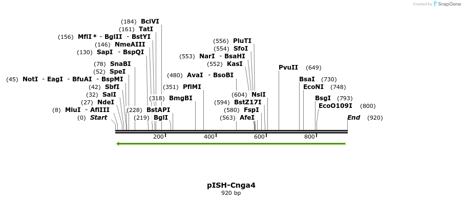 199616_map