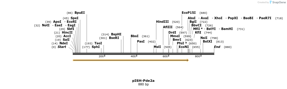 199642_map