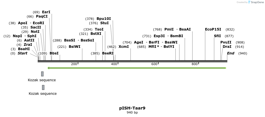 199658_map