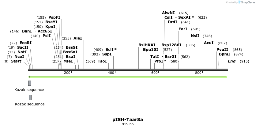 199660_map