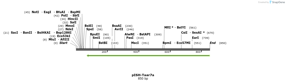 199663_map