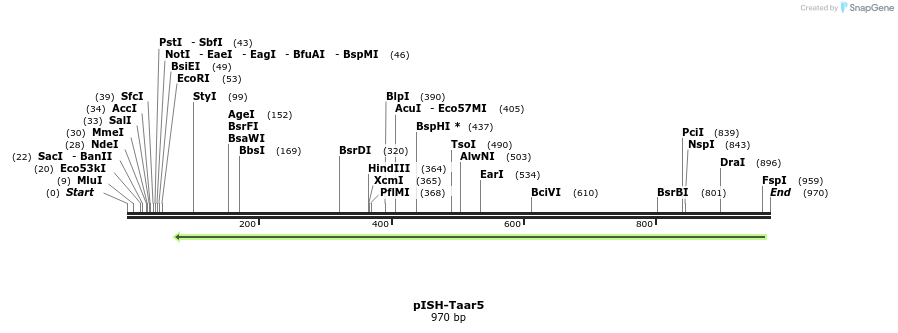 199668_map