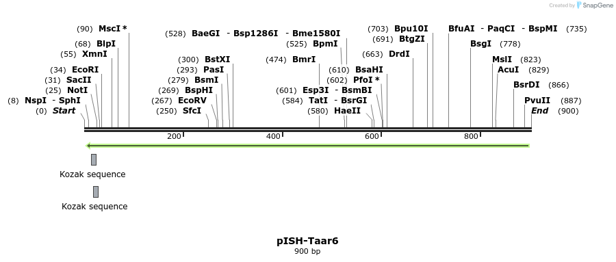 199670_map