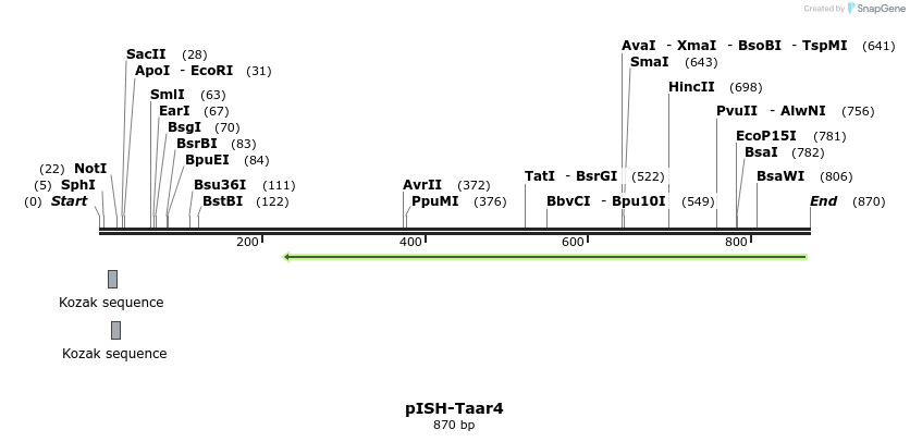 199672_map