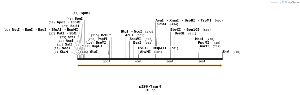 199673_map
