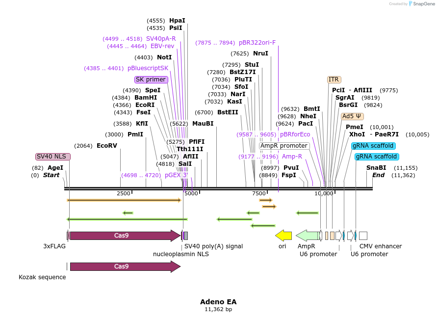 199681_map