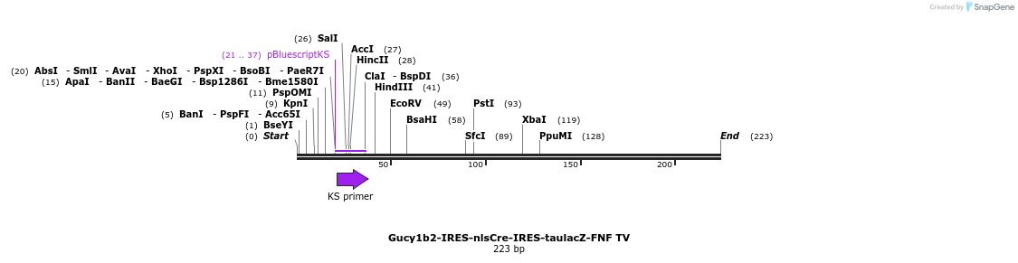 199689_map