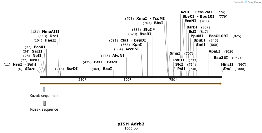 199694_map