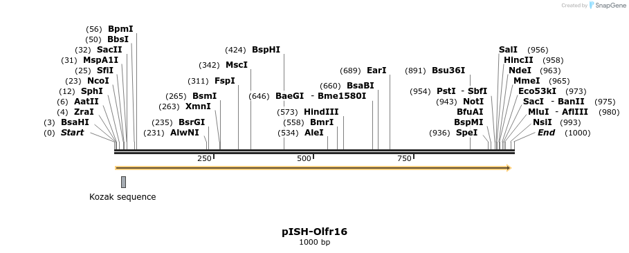 199707_map