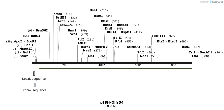 199711_map