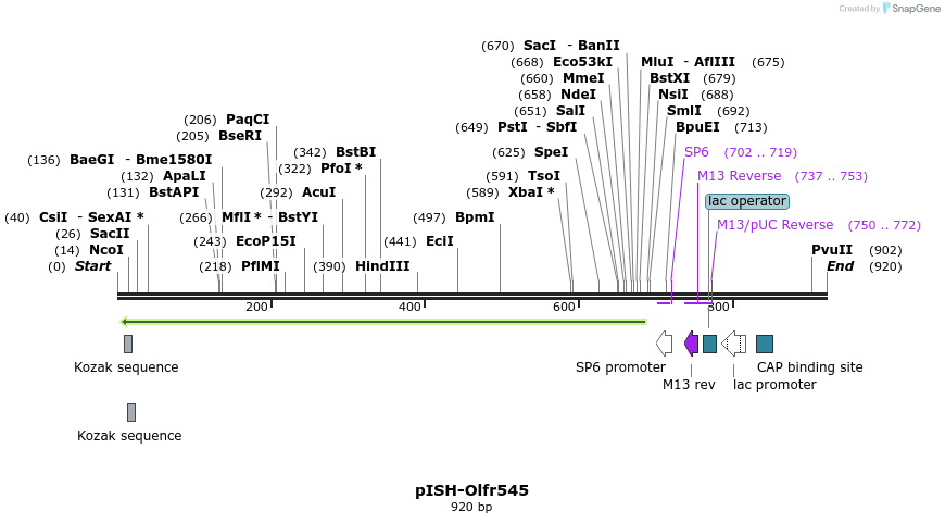 199713_map