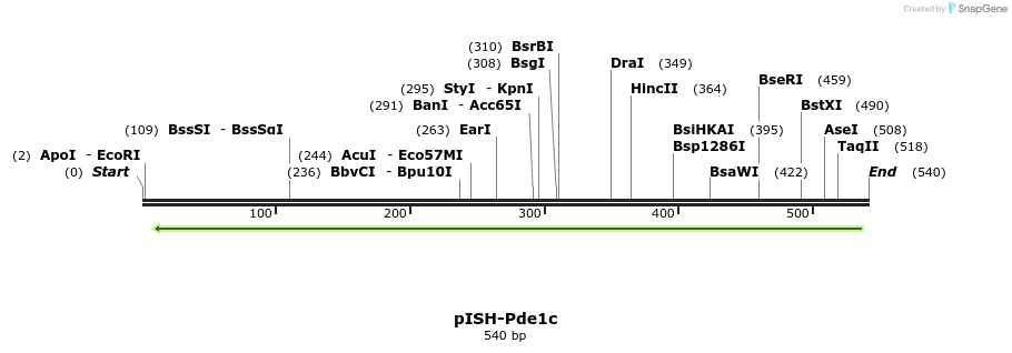 199720_map