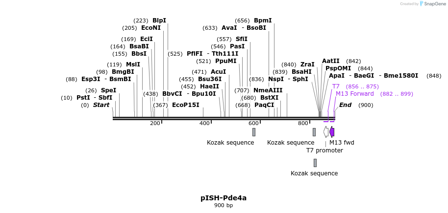 199721_map