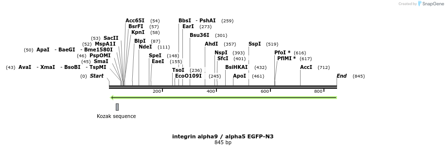 19973_map