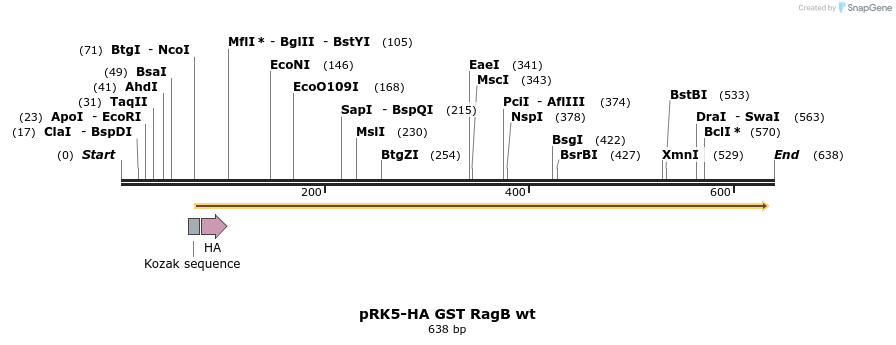 199751_map