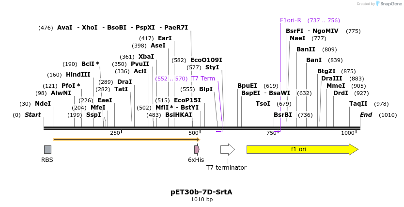 199778_map