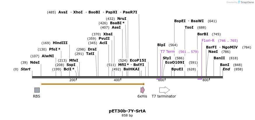 199787_map