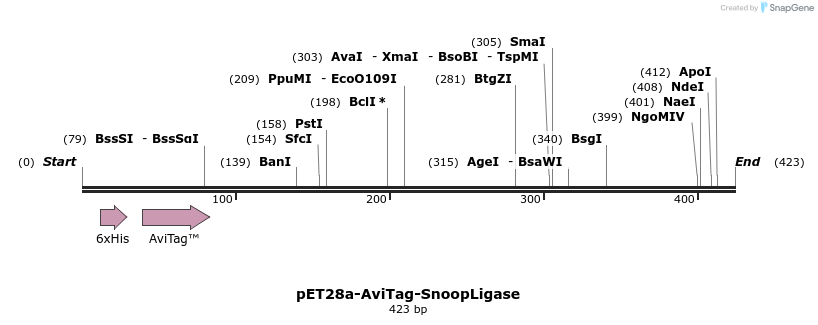 199851_map