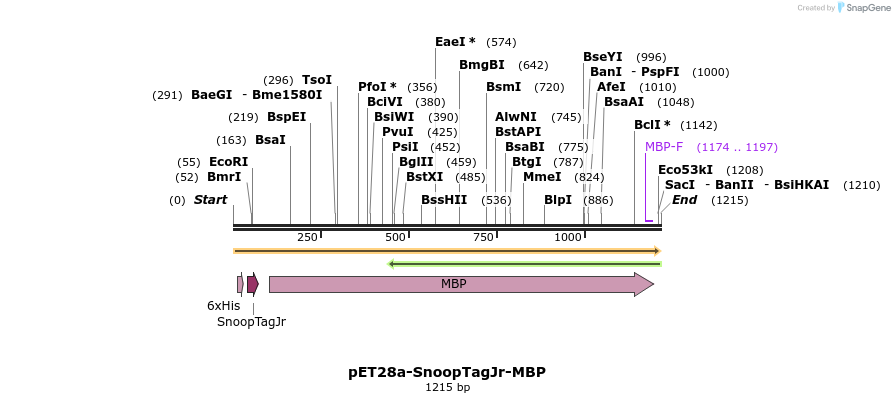 199853_map
