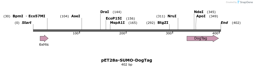 199854_map