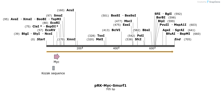 19989_map