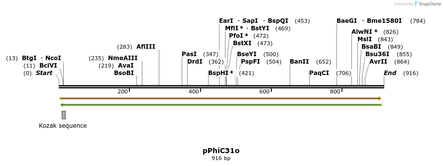 20003_map