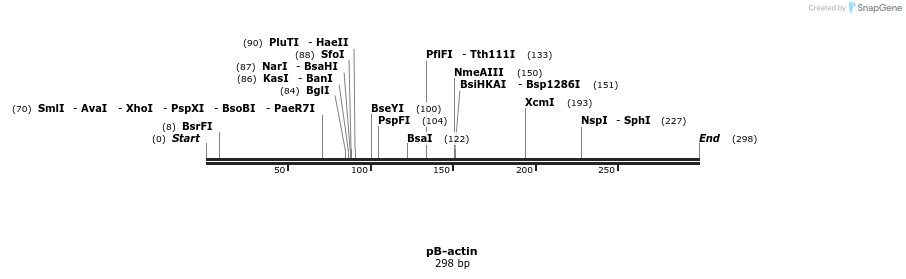 20008_map