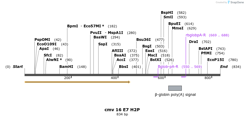 20018_map