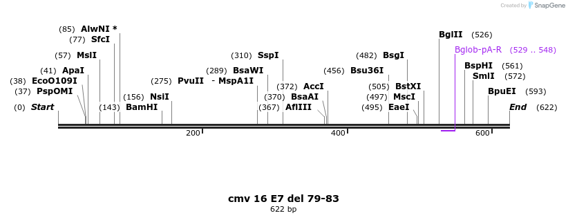 20019_map