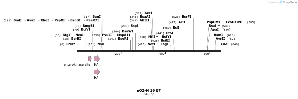 20023_map