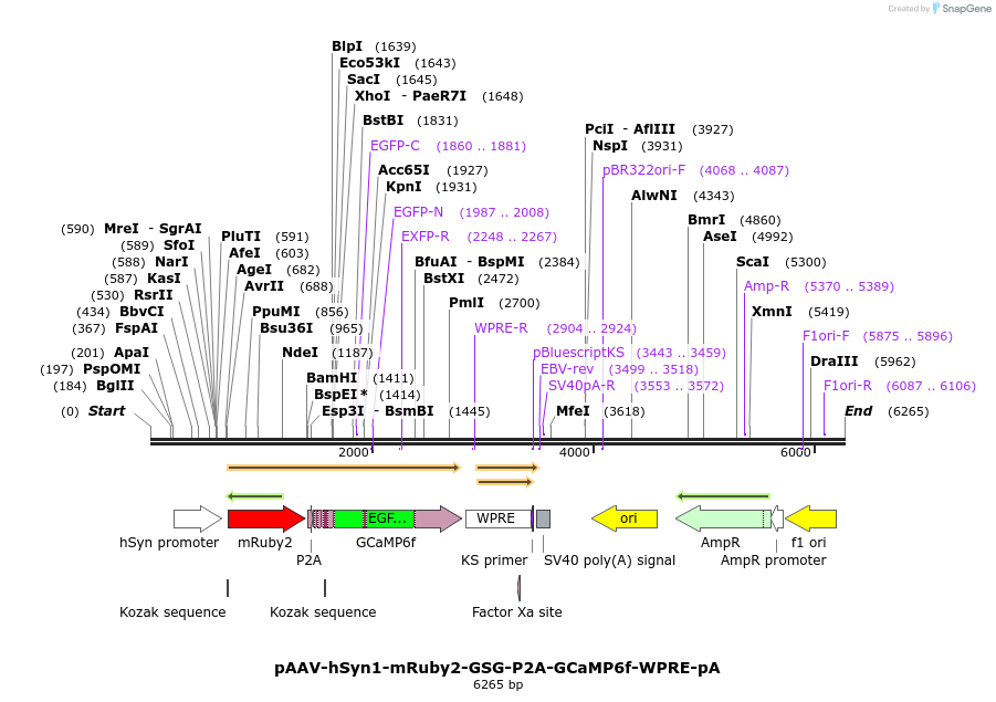 200277_map