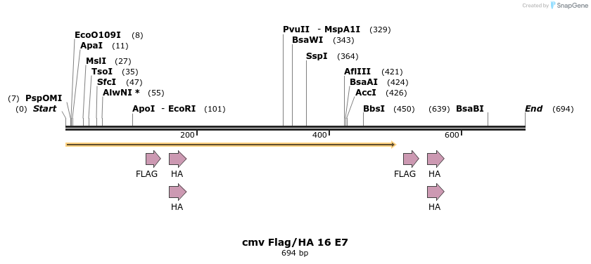 20028_map