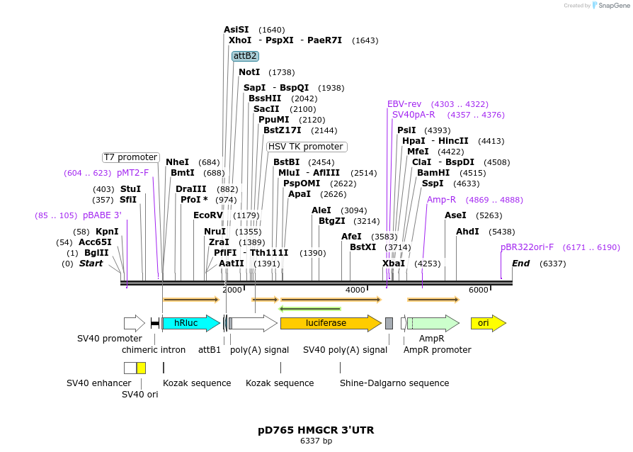 200283_map