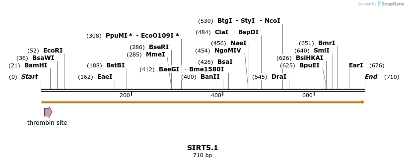 20036_map