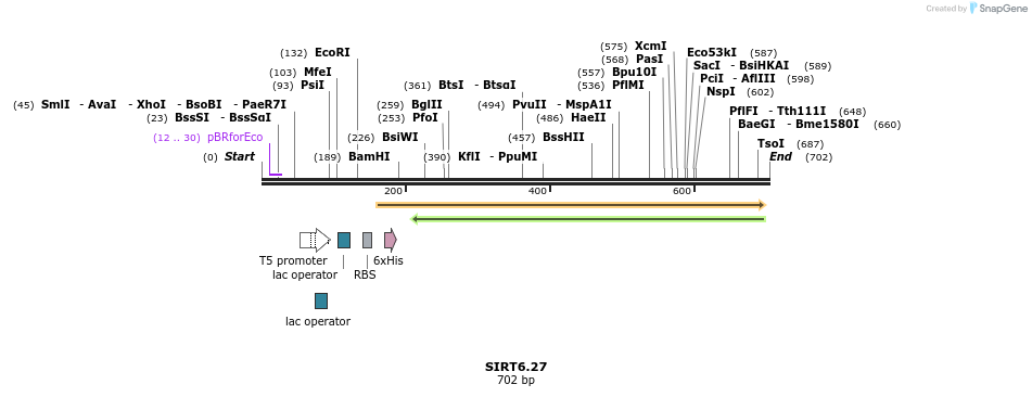 20037_map