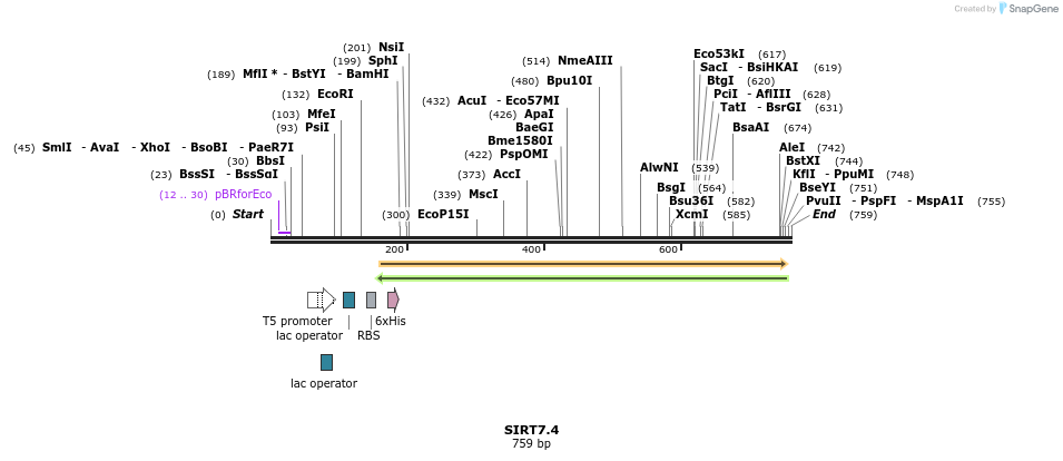20038_map