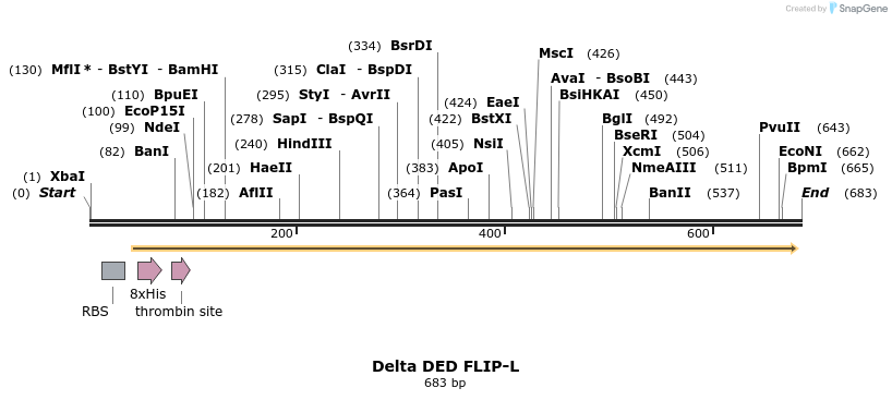 20043_map