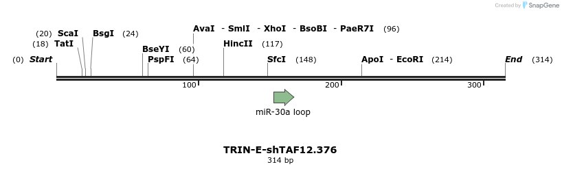 200475_map