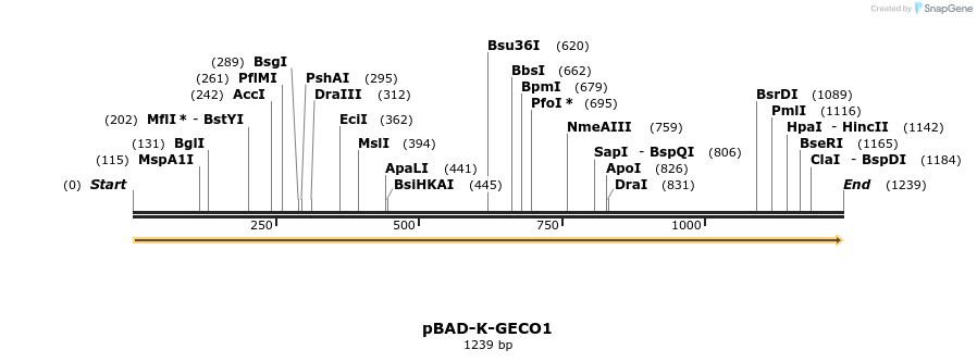 200500_map