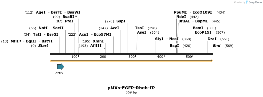 20063_map
