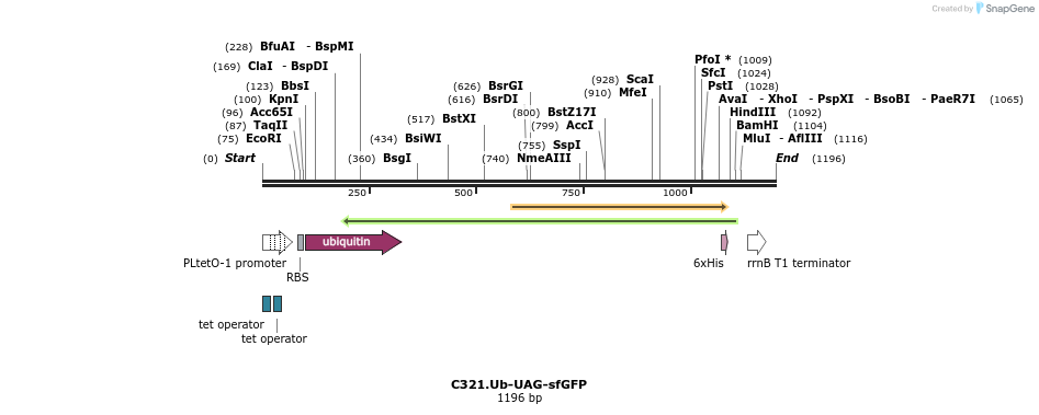 200687_map