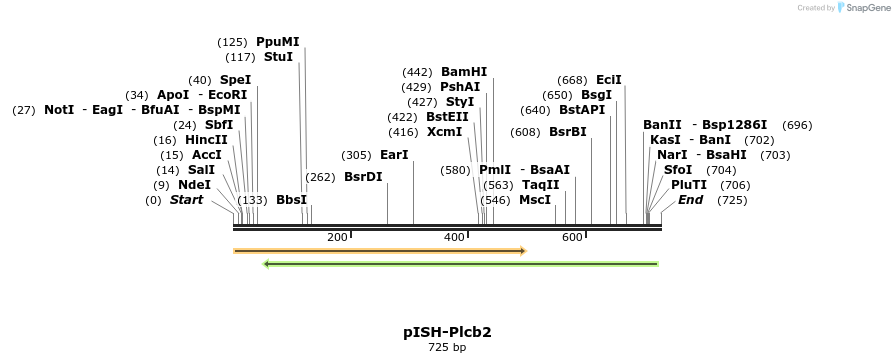 200717_map