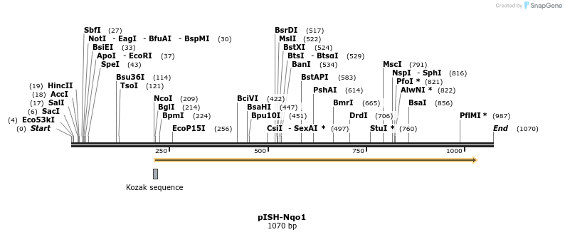 200719_map