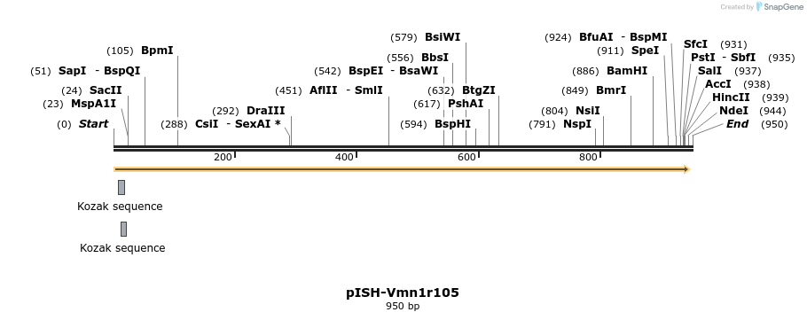 200722_map