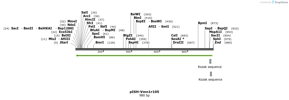 200723_map