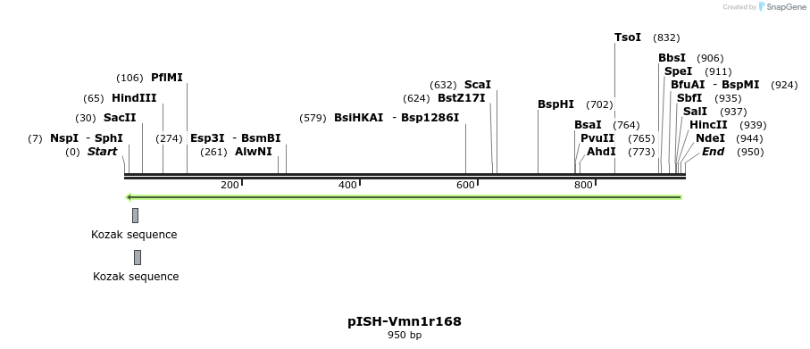 200730_map