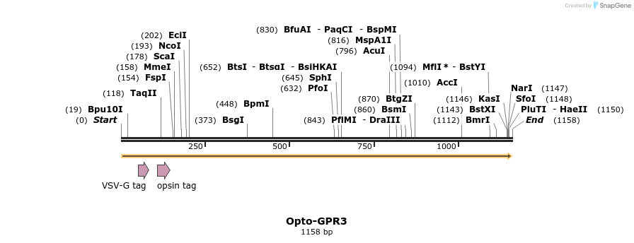 200763_map