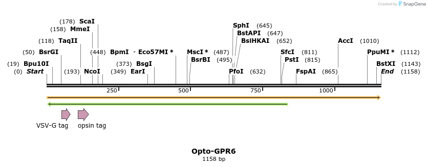 200765_map
