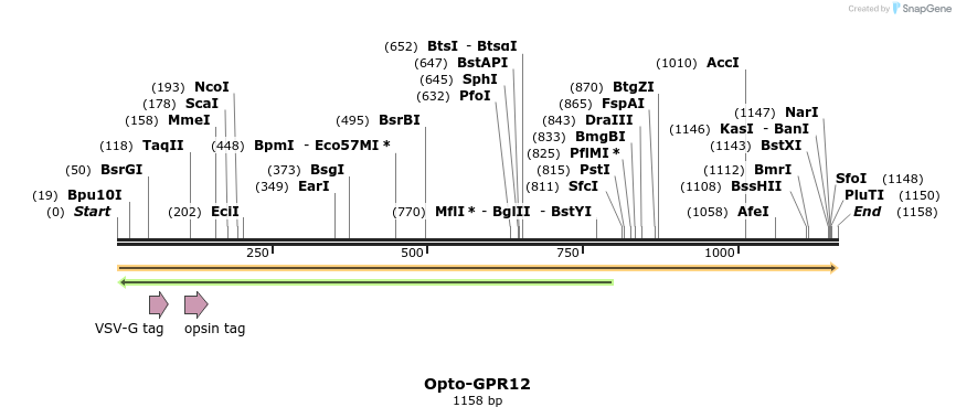 200766_map